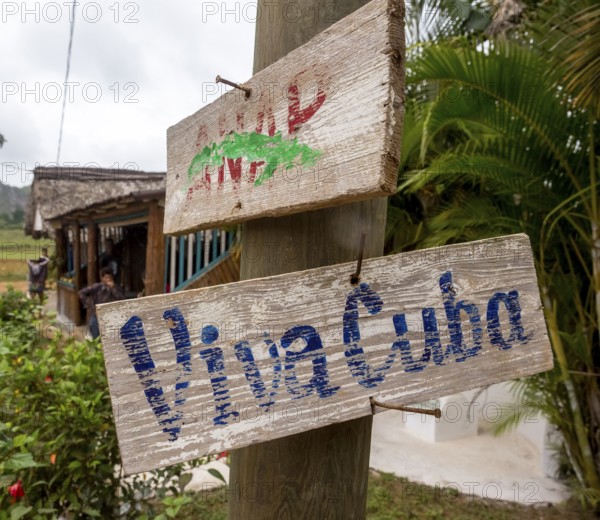 Wooden sign with the inscription Viva Cuba on a telegraph pole, Viñales, Cuba, Pinar del Río, Cuba,