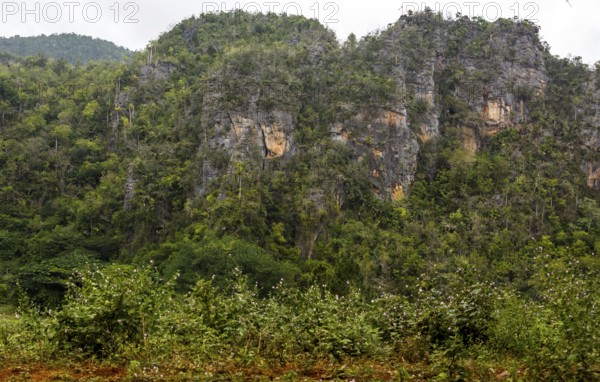 Karst mountains in the Vinales Valley, Viñales, Cuba, Pinar del Río, Cuba, Viñales, Pinar del Río