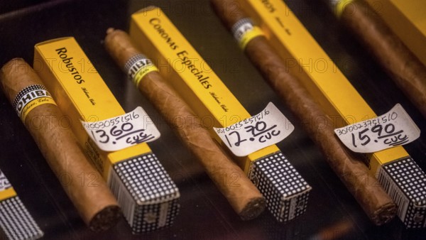 Cohiba cigars in retail sale with individual wrappers, Cuban cigars in the salesroom of a cigar