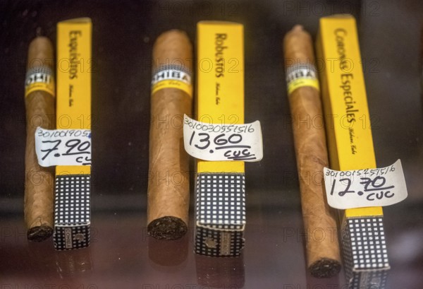 Cohiba cigars in retail sale with individual wrappers, Cuban cigars in the salesroom of a cigar