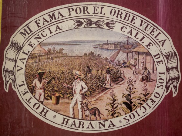Tobacco poster in front of a Cuban cigar shop, La Habana, Cuba, Caribbean, Central America, Cuba,