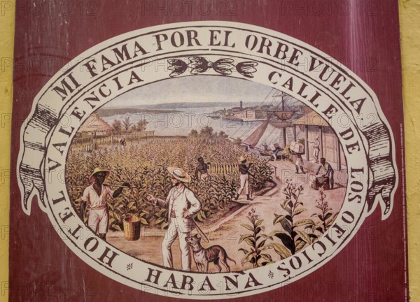 Tobacco poster in front of a Cuban cigar shop, La Habana, Cuba, Caribbean, Central America, Cuba,