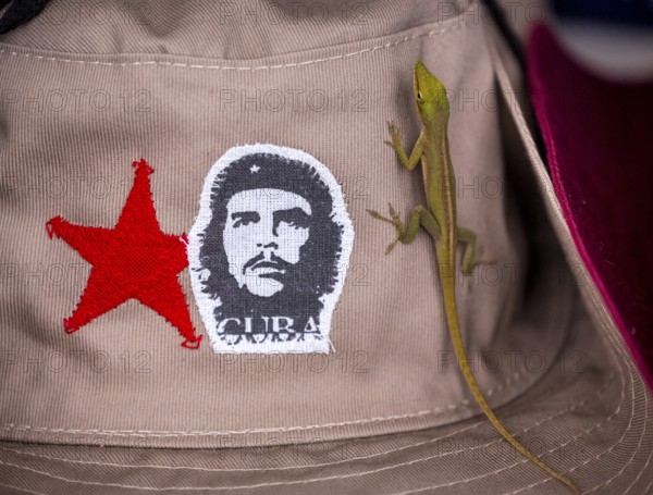 Beige cap with red Soviet star and gecko (Gekkonidae) and Ernesto Che Guevara sticker, La Habana,