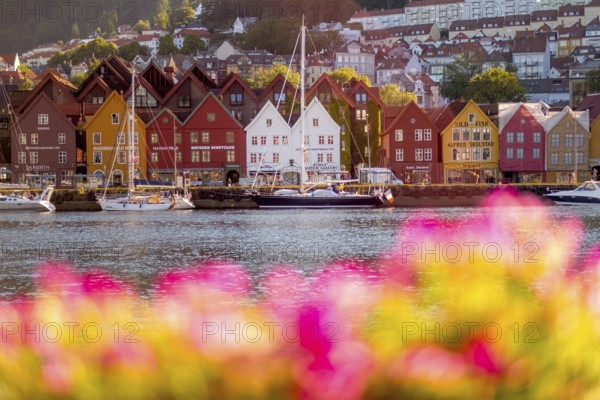 Colourful row of houses in the harbour of the city of Bergen, sailing ships, Hordaland, Norway,