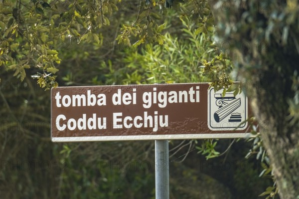 Sardinia, Nuraghic people, giant tomb Coddu Vecchiu, cult site, tomba dei giganti Coddu Ecchju,