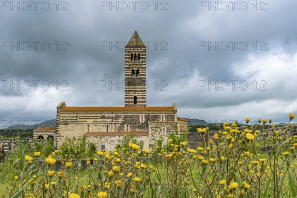 Sardinia, Santissima TrinitÃƒÂ di Saccargia, Romanesque church, flower meadow, Codrongianos,