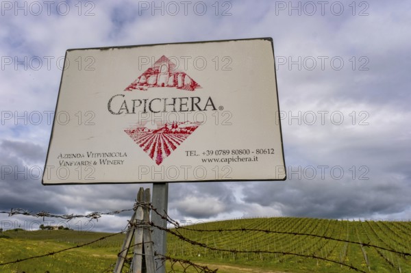 Sardinia, Azienda Vitivinicola, winery and vineyards, Coddu Vecchiu, Arzachena, Europe, province of