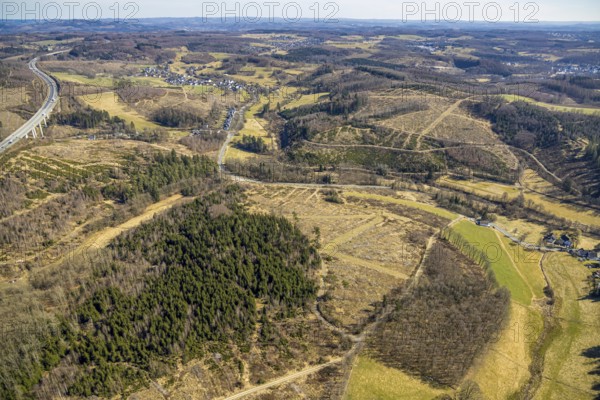 Aerial photo, forest area with forest damage Sankt-Helenen-Straße on the A4 motorway, Gerlingen,