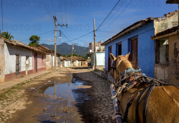 Street scene in Trinidadwith horseback and cobbled street with large puddle of rain, Trinidad,