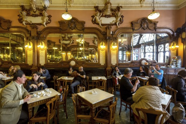 Café Majestic, art nouveau cafe, tavern, panorama, restaurant, Oporto, Porto district, Portugal,