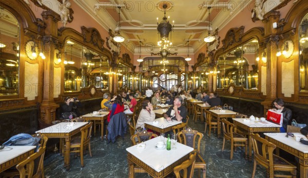 Café Majestic, art nouveau cafe, tavern, panorama, restaurant, Oporto, Porto district, Portugal,
