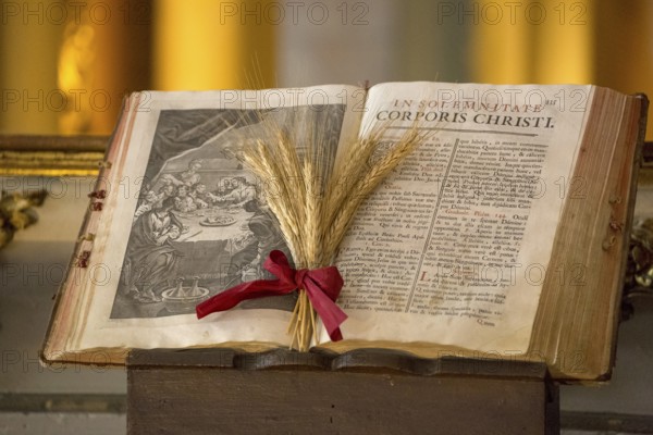 Illustrated Bible with grain jewellery, Latin Bible, Corporis Christi, Capela dos ossos parede,