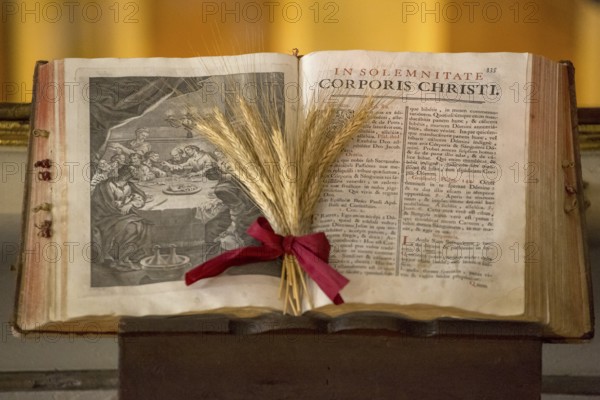 Illustrated Bible with grain jewellery, Latin Bible, Corporis Christi, Capela dos ossos parede,