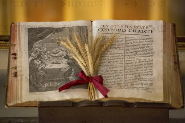 Illustrated Bible with grain jewellery, Latin Bible, Corporis Christi, Capela dos ossos parede,