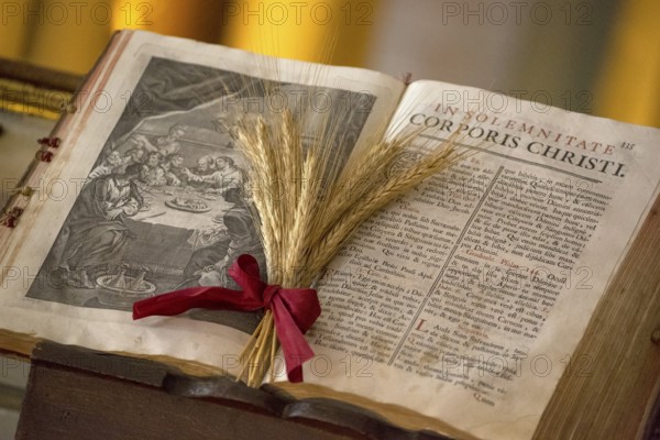 Illustrated Bible with grain jewellery, Latin Bible, Corporis Christi, Capela dos ossos parede,