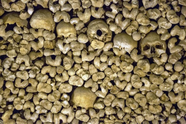 Piled bones in the ossuary, Capela dos ossos parede, chapel of bones, bone chapel, ossuary in