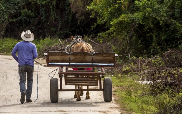 Cuban cowboy rider walking next to his one-horse cart, Valle de los Ingenios, Trinidad, Cuba,