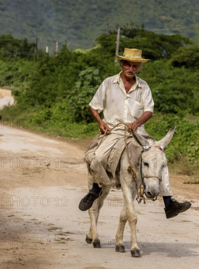 Old Cuban bear on a donkey mule with hat in Valle de los Ingenios, Trinidad, Cuba, Sancti Spíritus,
