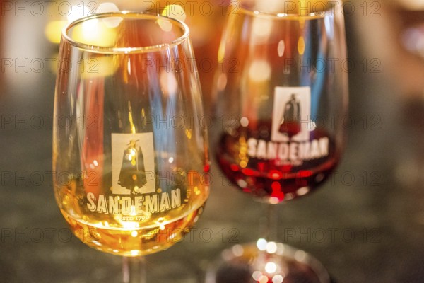 Wine tasting, white wine glass and red wine glass, wine cellar of the Sandemann winery in Gaia,