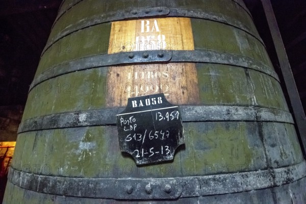 Port wine barrels, wine cellar of the Sandemann winery in Gaia, Porto, Vila Nova de Gaia, Porto