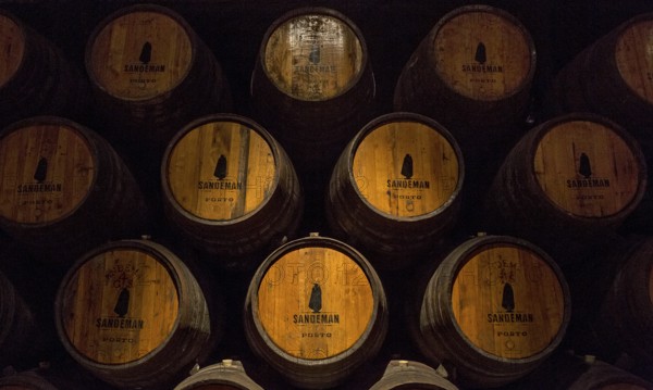 Port wine barrels, wine cellar of the Sandemann winery in Gaia, Porto, Vila Nova de Gaia, Porto