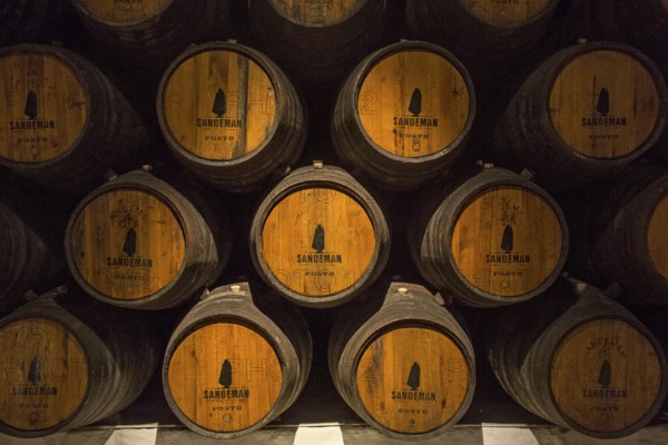 Port wine barrels, wine cellar of the Sandemann winery in Gaia, Porto, Vila Nova de Gaia, Porto