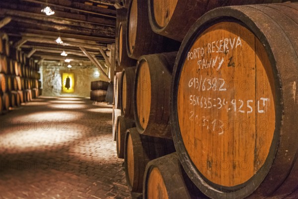Vintage labelling, port wine barrels, wine cellar of the Sandemann winery in Gaia, Porto, Vila Nova