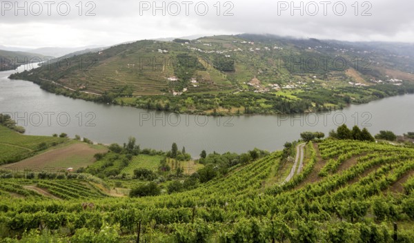 Central Douro wine region, river, Douro valley, vineyards, panorama, Santa Cristina, Vila Real