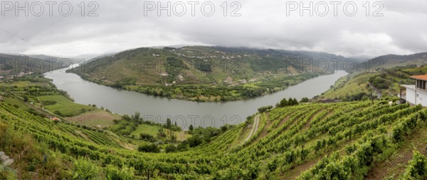 Central Douro wine region, river, Douro valley, vineyards, panorama, Santa Cristina, Vila Real