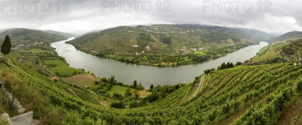 Central Douro wine region, river, Douro valley, vineyards, panorama, Santa Cristina, Vila Real