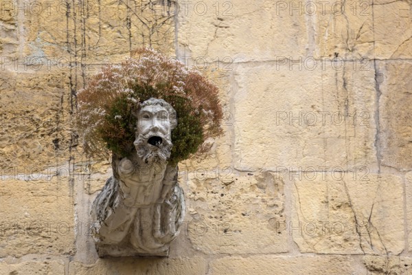 Gargoyle, Rain spout on the church facade Old Cathedral (Sé Velha), Old Town of Coimbra, Coimbra,