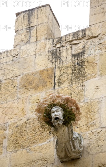 Gargoyle, Rain spout on the church facade Old Cathedral (Sé Velha), Old Town of Coimbra, Coimbra,