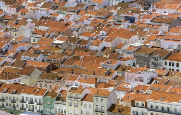 Red tiled roofs, view of the city and bay of Nazaré, Nazaré, Leiria district, Portugal, Europe,