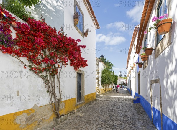 Picturesque facades with primroses and flower pots, picturesque small town Obidos, Ãbidos, district