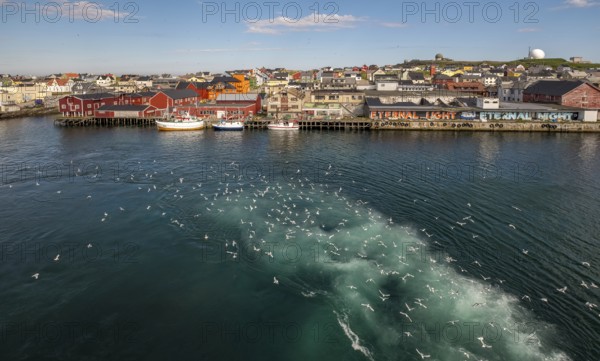 Fishing boats in the harbour with seagulls, Street Art Eternal Light Eternal Night, Observatory