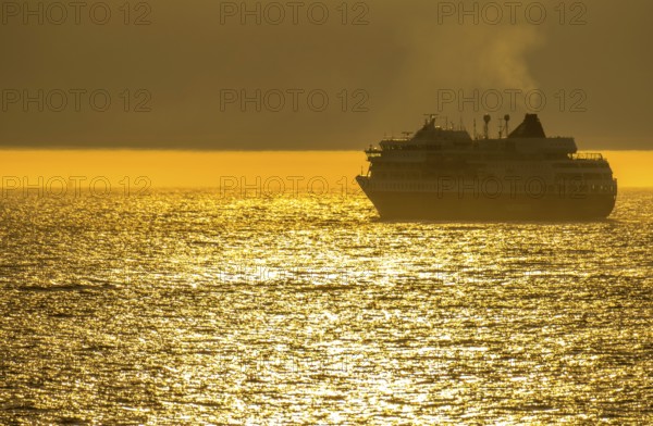 Ship MS Finnmarken, in the morning light, backlight, Berlevåg, Finnmark, Norway, Scandinavia,