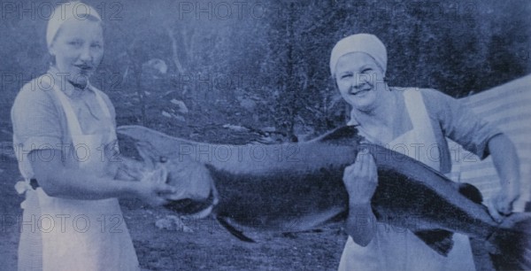Photo of largest Atlantic salmon catch, Kirkenes, Finnmark, Norway, Scandinavia, Europe, adventure