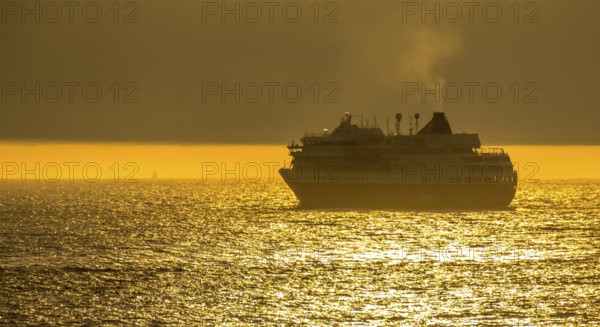Ship MS Finnmarken, in the morning light, backlight, Berlevåg, Finnmark, Norway, Scandinavia,