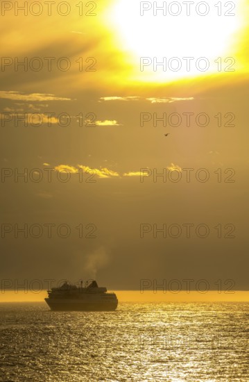 Ship MS Finnmarken, in the morning light, backlight, Berlevåg, Finnmark, Norway, Scandinavia,