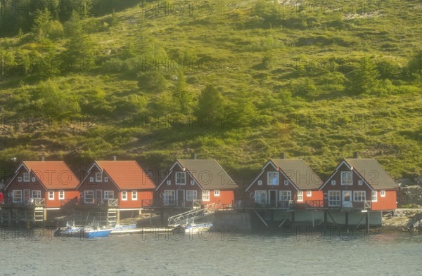 Norwegian coastal houses, boats, Roan, Trøndelag, Norway, Scandinavia, Europe, adventure travel,