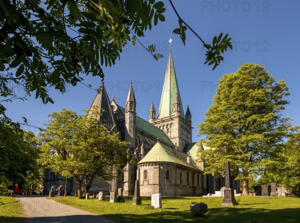 Nidaros Cathedral, Cathedral, Trondheim, Trøndelag, Norway, Scandinavia, Europe, adventure trip,