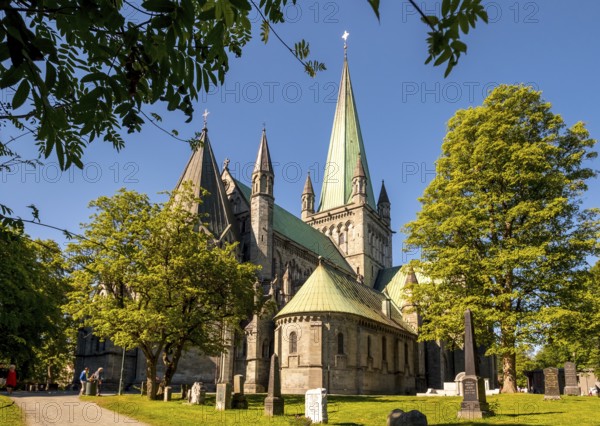 Nidaros Cathedral, Cathedral, Trondheim, Trøndelag, Norway, Scandinavia, Europe, adventure trip,
