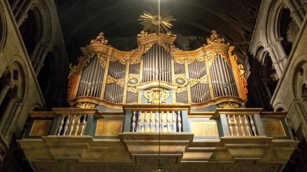 Nidaros Cathedral, cathedral, Steinmeyer organ, Trondheim, Trøndelag, Norway, Scandinavia, Europe,