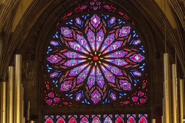 Nidaros Cathedral, cathedral, stained glass window, rose window, Trondheim, Trøndelag, Norway,