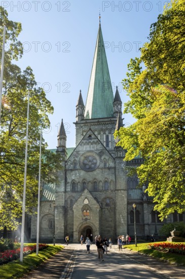 Nidaros Cathedral, Cathedral, Trondheim, Trøndelag, Norway, Scandinavia, Europe, adventure trip,