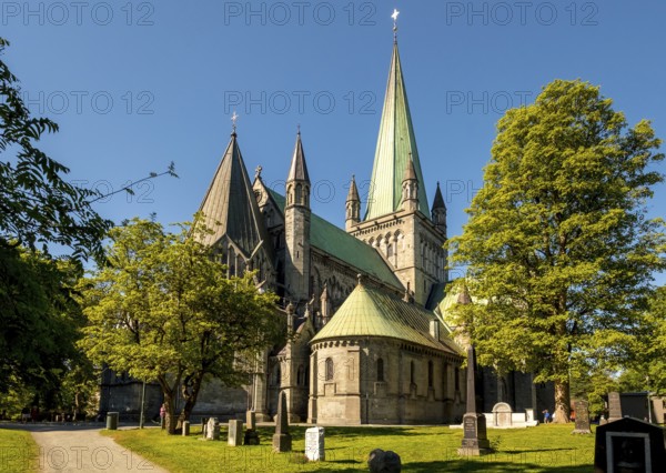 Nidaros Cathedral, Cathedral, Trondheim, Trøndelag, Norway, Scandinavia, Europe, adventure trip,