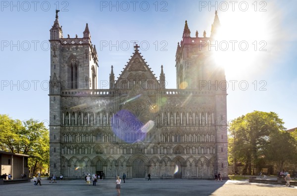 Nidaros Cathedral, cathedral, west facade, backlit, Trondheim, Trøndelag, Norway, Scandinavia,