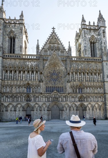 Nidaros Cathedral, cathedral, west façade, Trondheim, Trøndelag, Norway, Scandinavia, Europe,