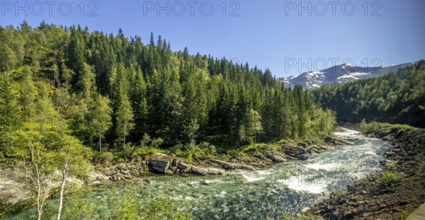 River in the mountains, forest, stones, sky, Vossestrand, Hordaland, Norway, Scandinavia, Europe,