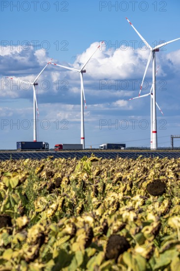 86, 5 MW peak ground-mounted photovoltaic systems, from RWE, with over 141, 000 solar modules, on a